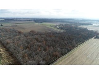 Property photo 9 - OHIO DAIRY AUCTION - 193+/- ACRES IN 4 TRACTS IN PUTNAM COUNTY, OHIO